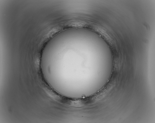 X0000111860309200907231457