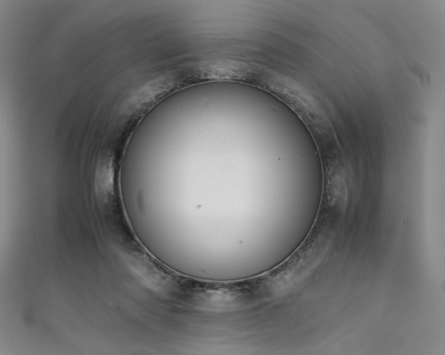 X0000111860310200907231457