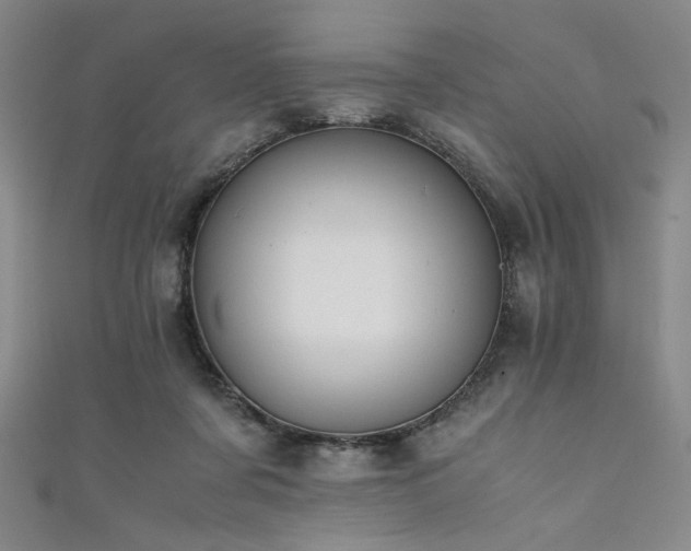 X0000111860311200907231457