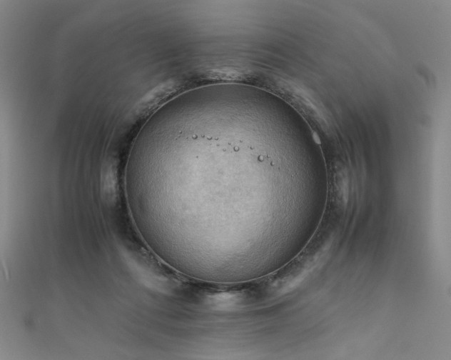 X0000111860312200907231457