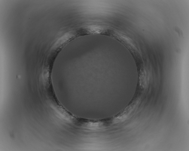 X0000111860314200907231457