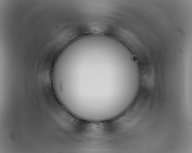 X0000111860317200907231457