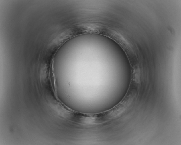 X0000111860318200907231457