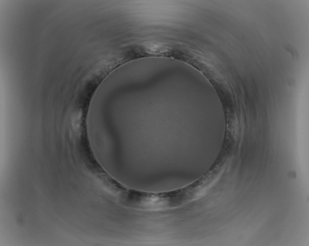 X0000111860319200907231457