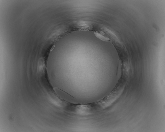 X0000111860320200907231457