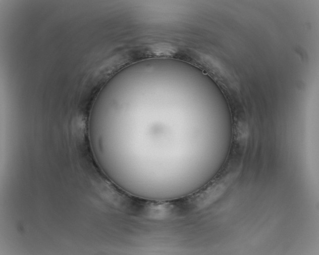 X0000111860321200907231457