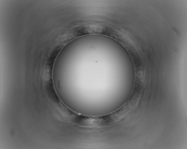 X0000111860323200907231457