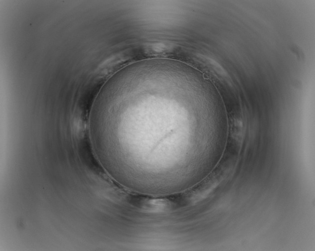 X0000111860324200907231457