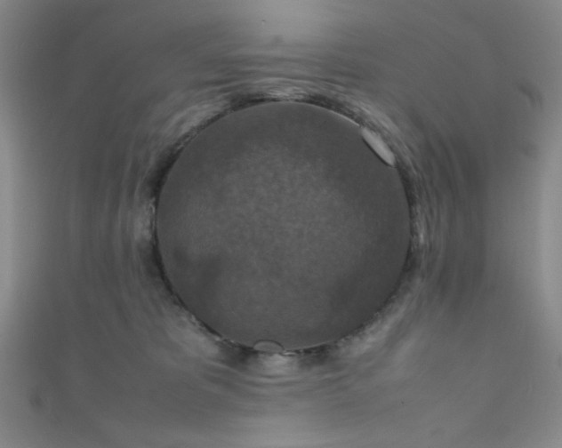 X0000111860325200907231457
