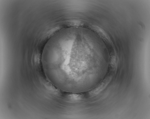 X0000111860326200907231457