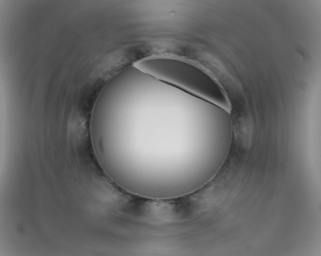 X0000111860327200907231457