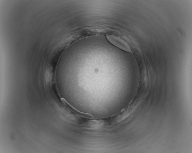 X0000111860328200907231457