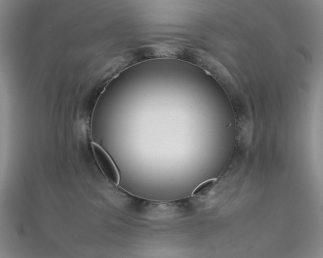 X0000111860329200907231457