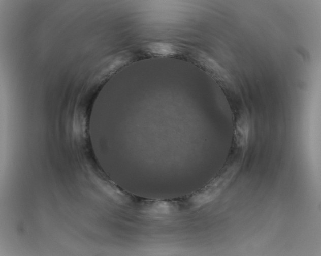 X0000111860330200907231457