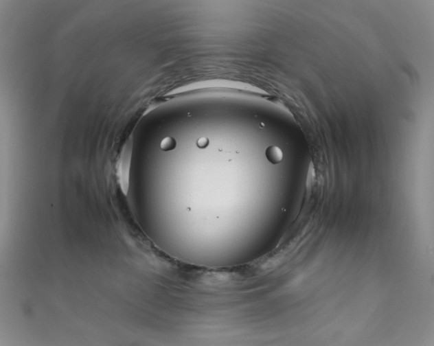 X0000111860332200907231457