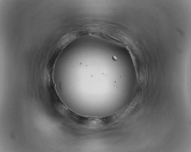 X0000111860333200907231457