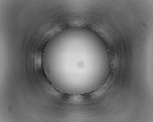 X0000111860334200907231457