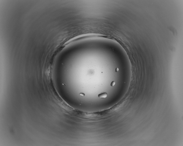 X0000111860336200907231457