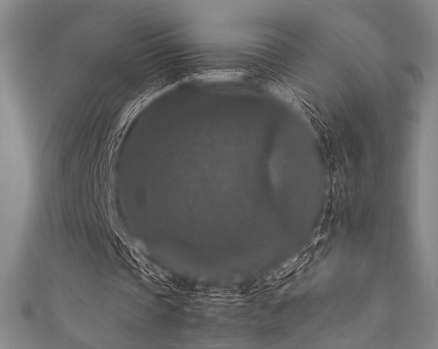 X0000111860337200907231456