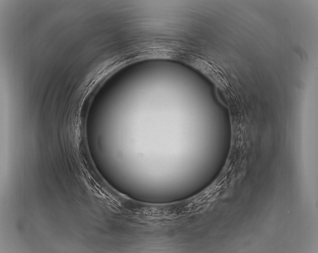X0000111860338200907231456