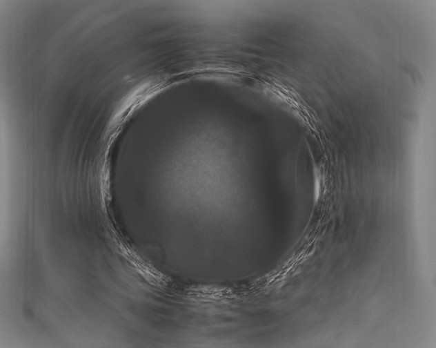 X0000111860339200907231456