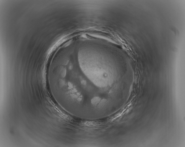 X0000111860341200907231456