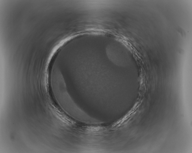 X0000111860342200907231456