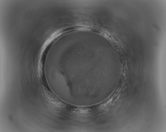 X0000111860343200907231456