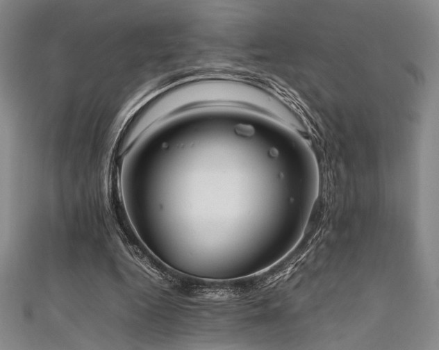 X0000111860344200907231456
