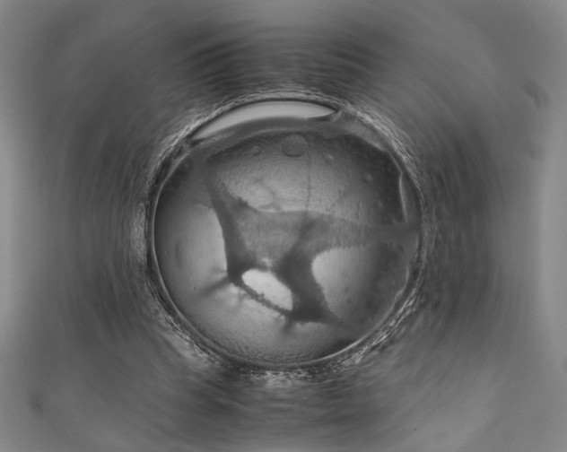 X0000111860345200907231456