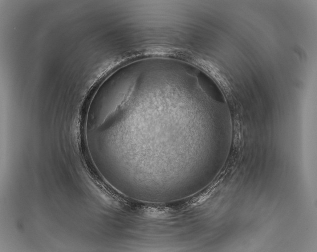 X0000111860346200907231456