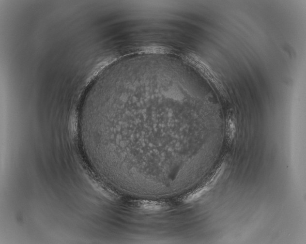 X0000111860347200907231456