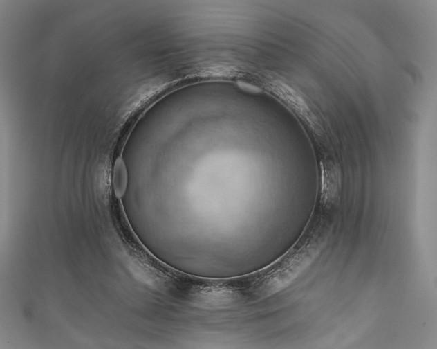 X0000111860348200907231456