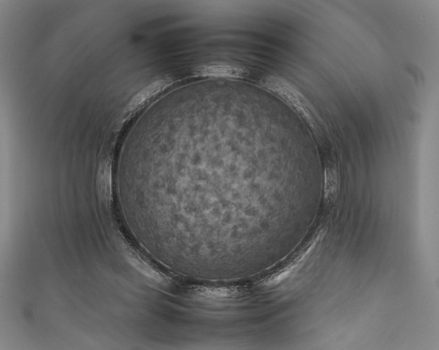 X0000111860349200907231456