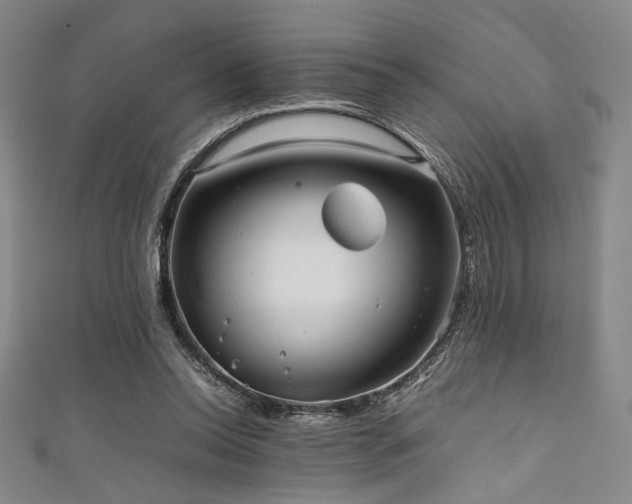 X0000111860350200907231456