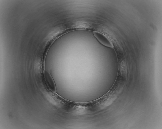 X0000111860352200907231457