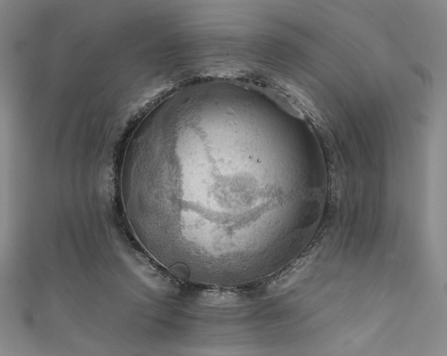 X0000111860354200907231457
