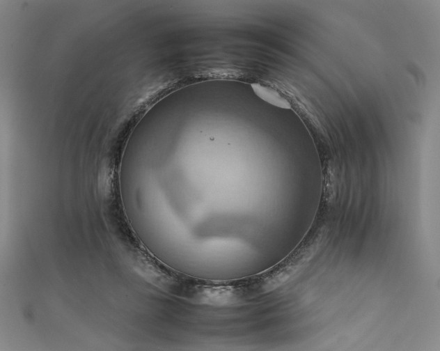 X0000111860355200907231457