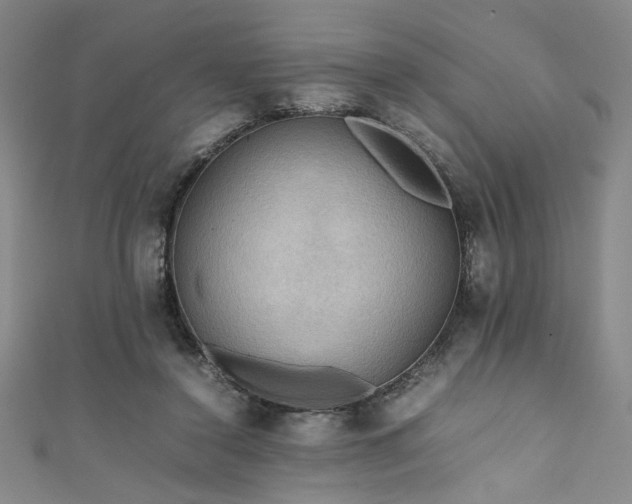X0000111860356200907231457