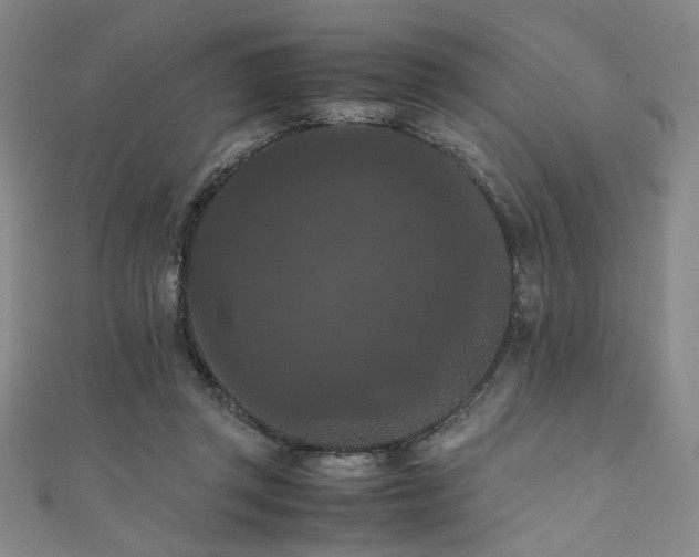 X0000111860357200907231457