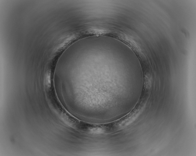 X0000111860358200907231457