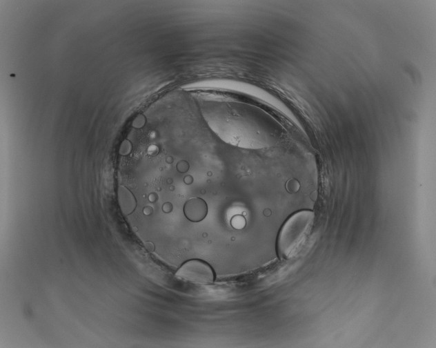 X0000111860359200907231457