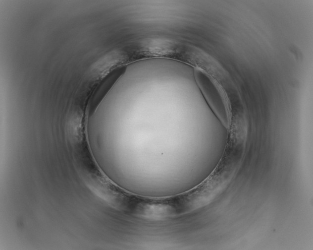 X0000111860360200907231457