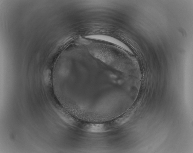 X0000111860361200907231457