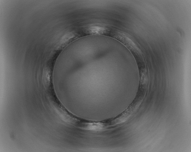 X0000111860363200907231457