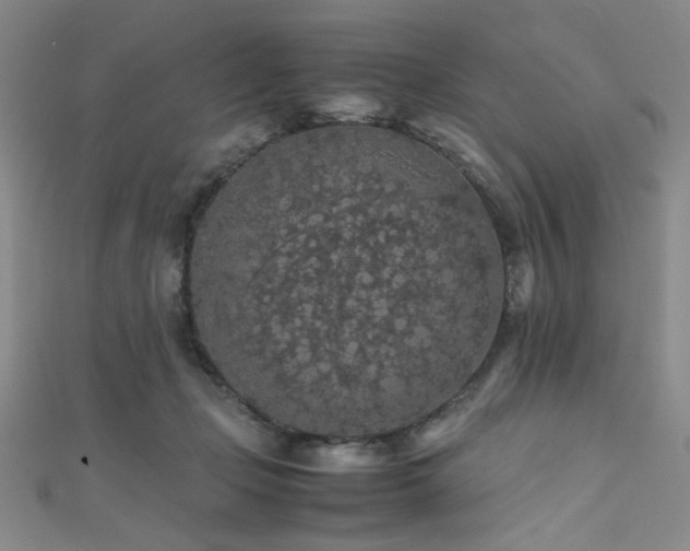 X0000111860365200907231457