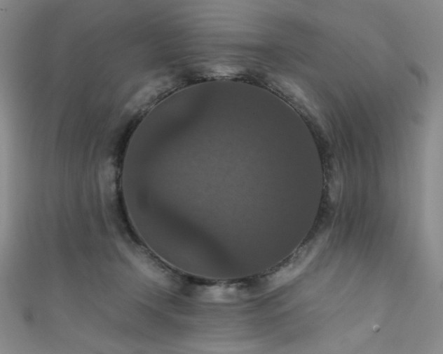 X0000111860366200907231457