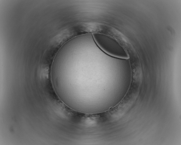 X0000111860368200907231457