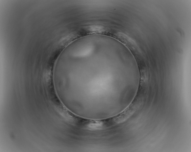 X0000111860369200907231457