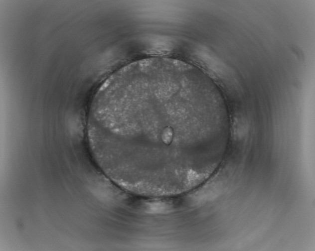X0000111860370200907231457